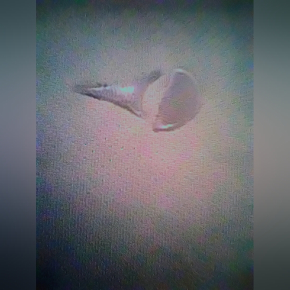 Women's Grandslam Airflow Performance Navy Blue Golf‎ Polo Shirt, Size XS - Picture 3 of 5